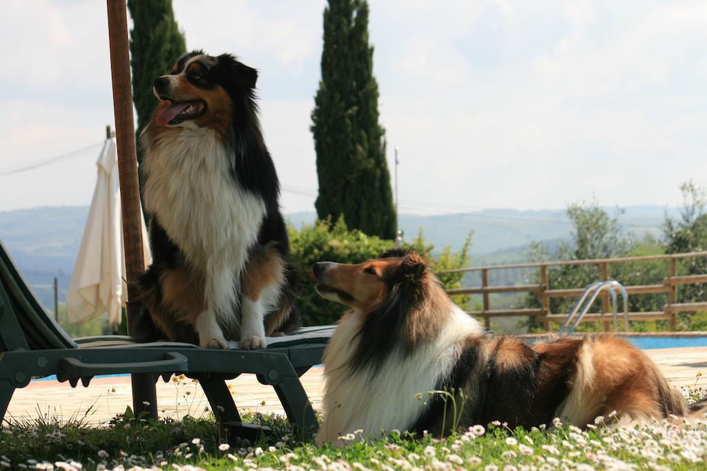 Agriturismo Il Torrione Lecchi Bagian luar foto