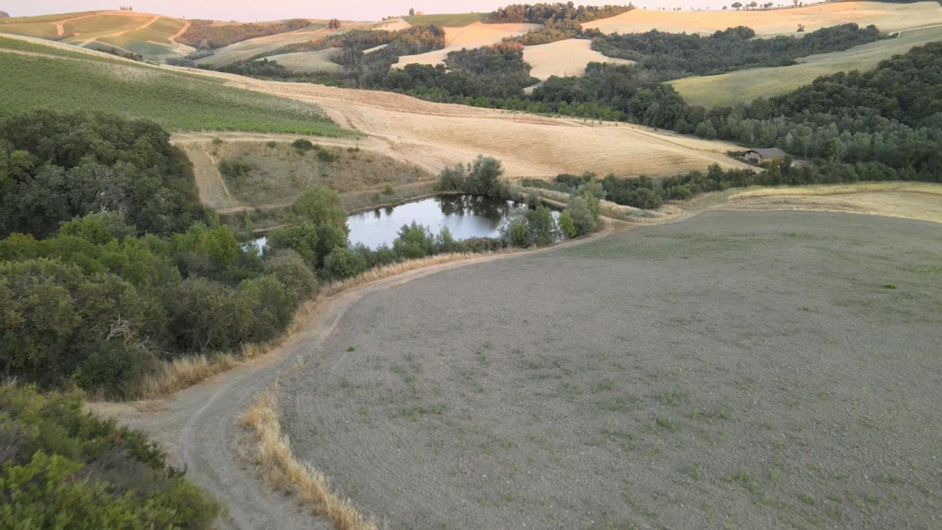 Agriturismo Il Torrione Lecchi Bagian luar foto